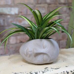 Planter with a sideways sleeping face on it holding a blooming, bright green plant