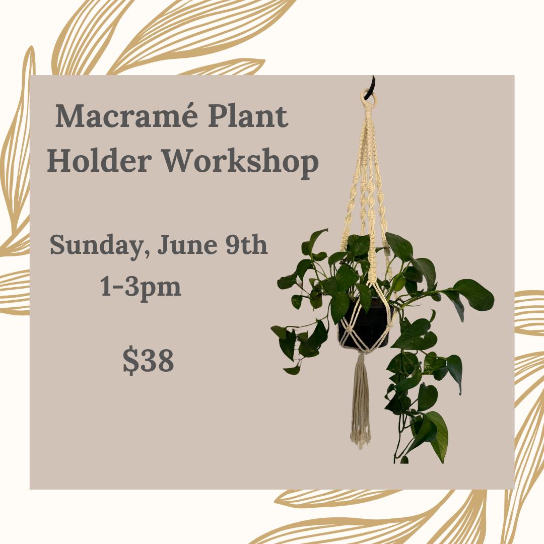 Macramé Plant Holder Workshop Sunday, June 9th 1-3pm