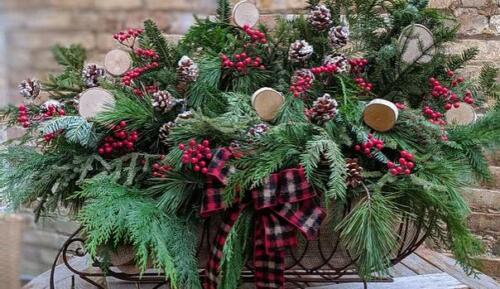 Winter custom arrangement of pine needles, cranberries, and pinecones overflowing a decorative wire sled with plaid bow